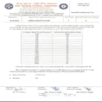 Test-Report
